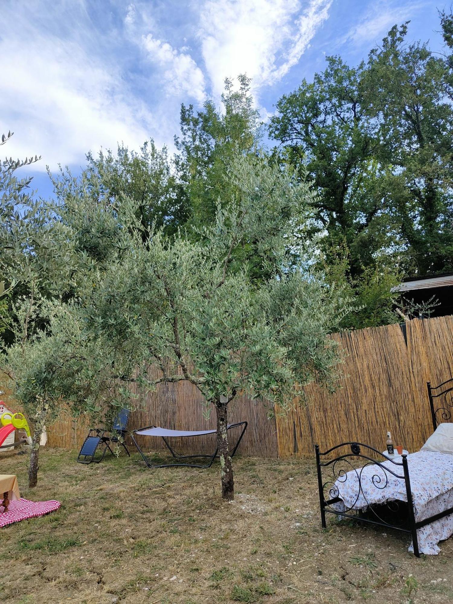 Casale Dei Ricordi Arce Exterior foto